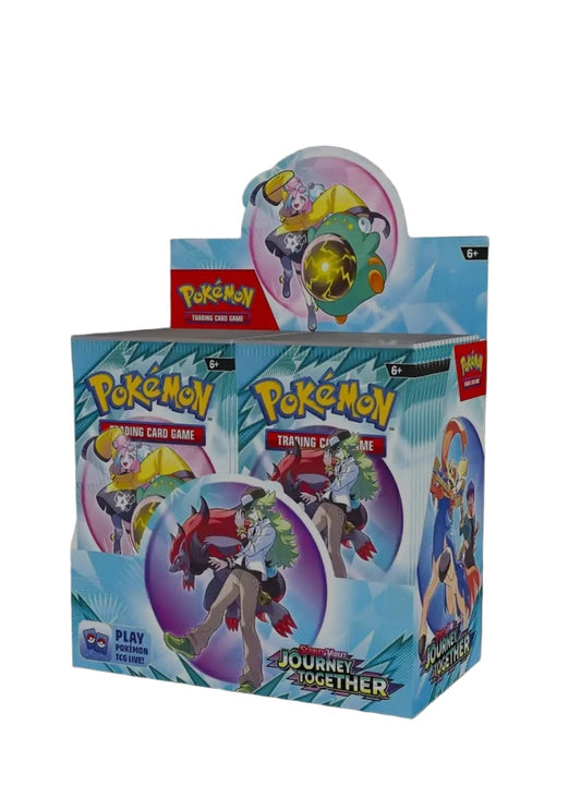 Pokemon display Reisegefährten